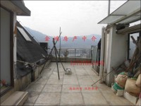其它圖