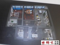 其它圖
