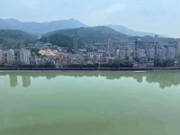 其它圖