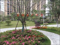 其它圖