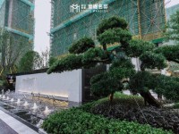 其它圖
