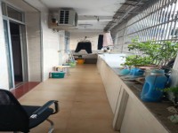 其它圖