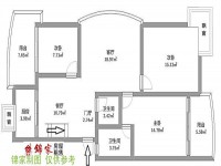 其它圖