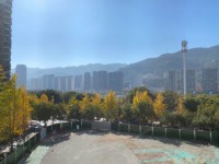 其它圖