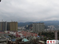 其它圖