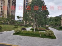 其它圖