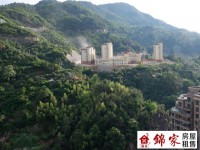 其它圖