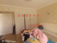 其它圖