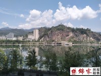 其它圖