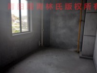 其它圖