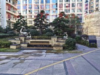 其它圖