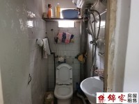 其它圖